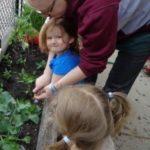 Nature-based learning - garden planting