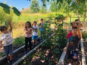 Kids in the Garden — Minneapolis, MN — Miniapple International Montessori