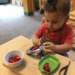 Practical life: child slicing strawberries