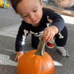 Baby exploring pumpkin.