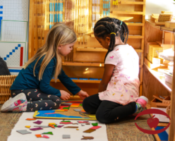 What Is the Difference Between a Montessori and Traditional School?