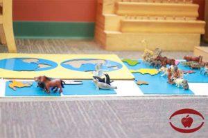 Animal Toys in the Floor — Minneapolis, MN — Miniapple International Montessori