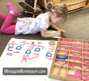 Montessori Preschool — Minneapolis, MN — Miniapple International Montessori