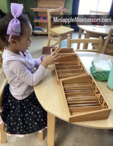 Child Counting With Sticks — Minneapolis, MN — Miniapple International Montessori